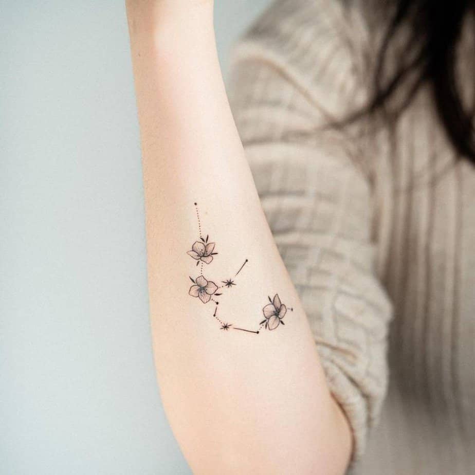 Flower constellation for the blooming Aquarian soul