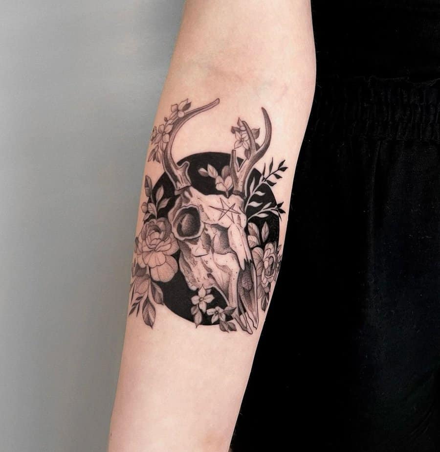 Nature&rsquo;s cycle on display