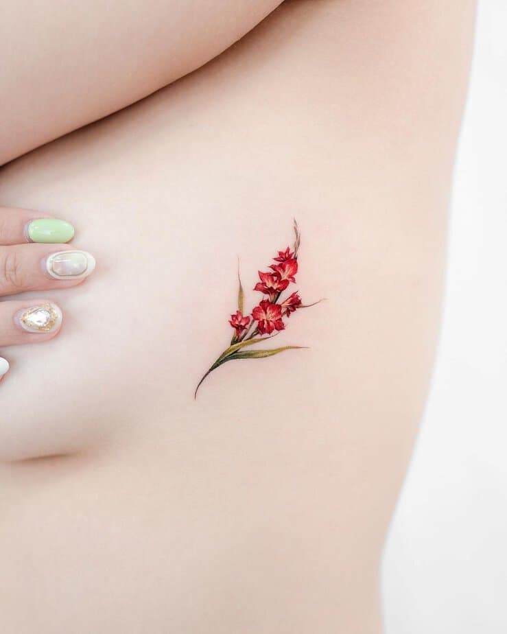 Tiny red gladiolus ribcage