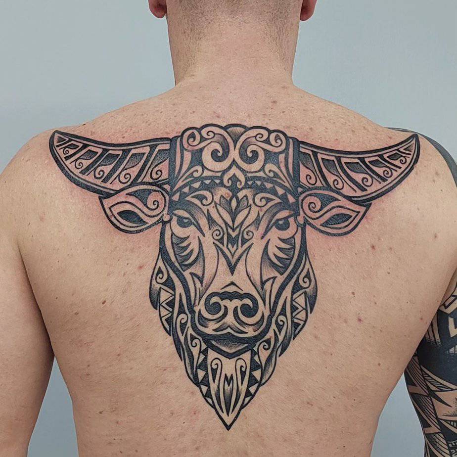 Back piece of Taurus power