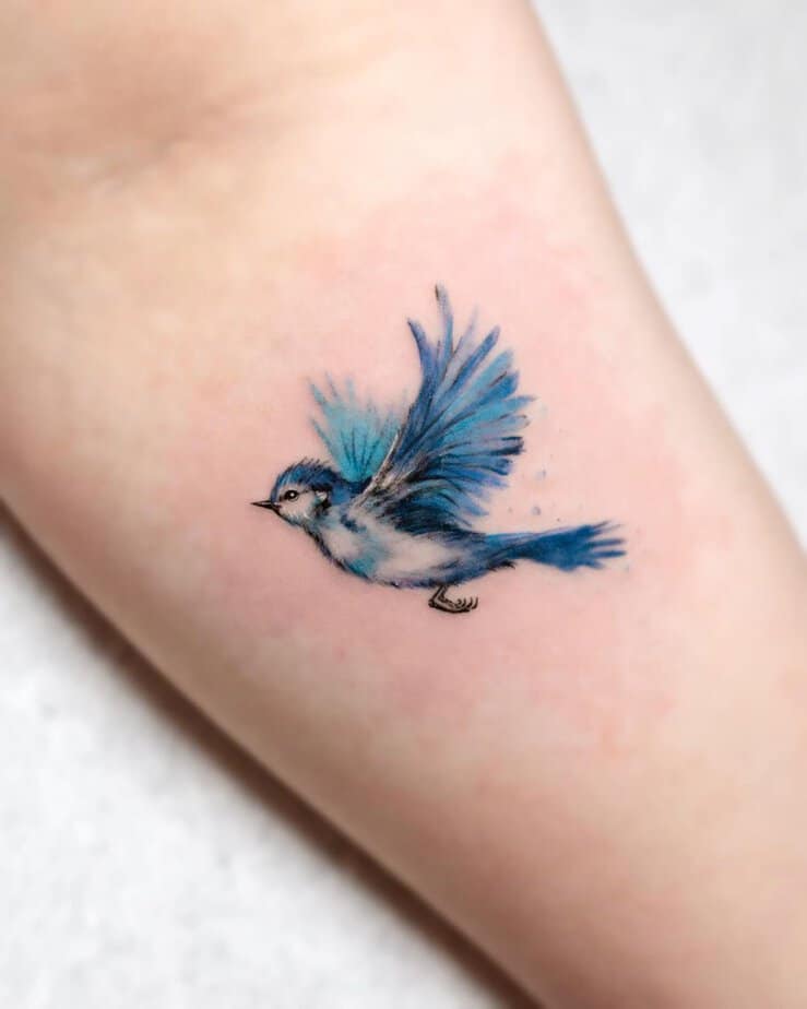 Minimalist bluebird in flight