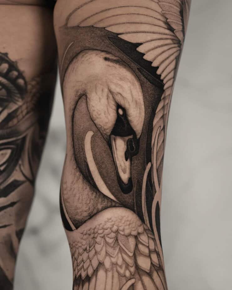 Swan sleeve tattoo showing black and gray swan on arm