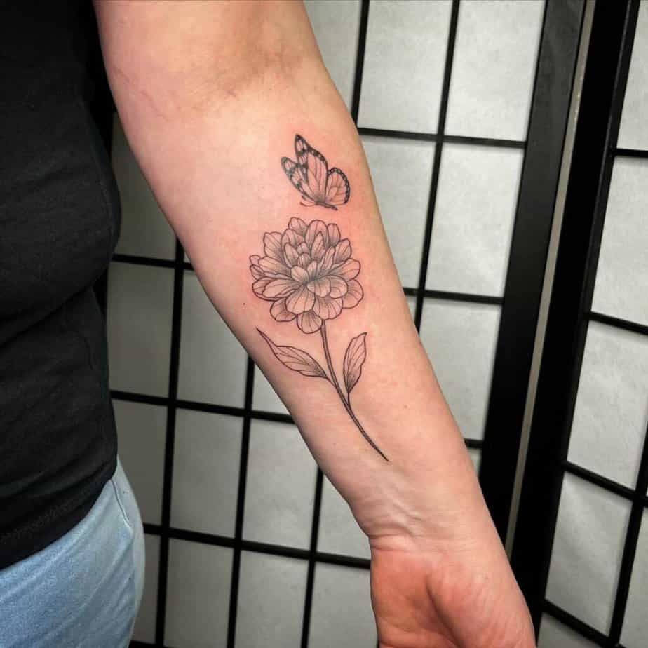 10. A dahlia and a butterfly