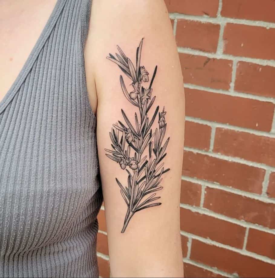 20 Rosemary Tattoos You Can Ink On Your Skin Forever