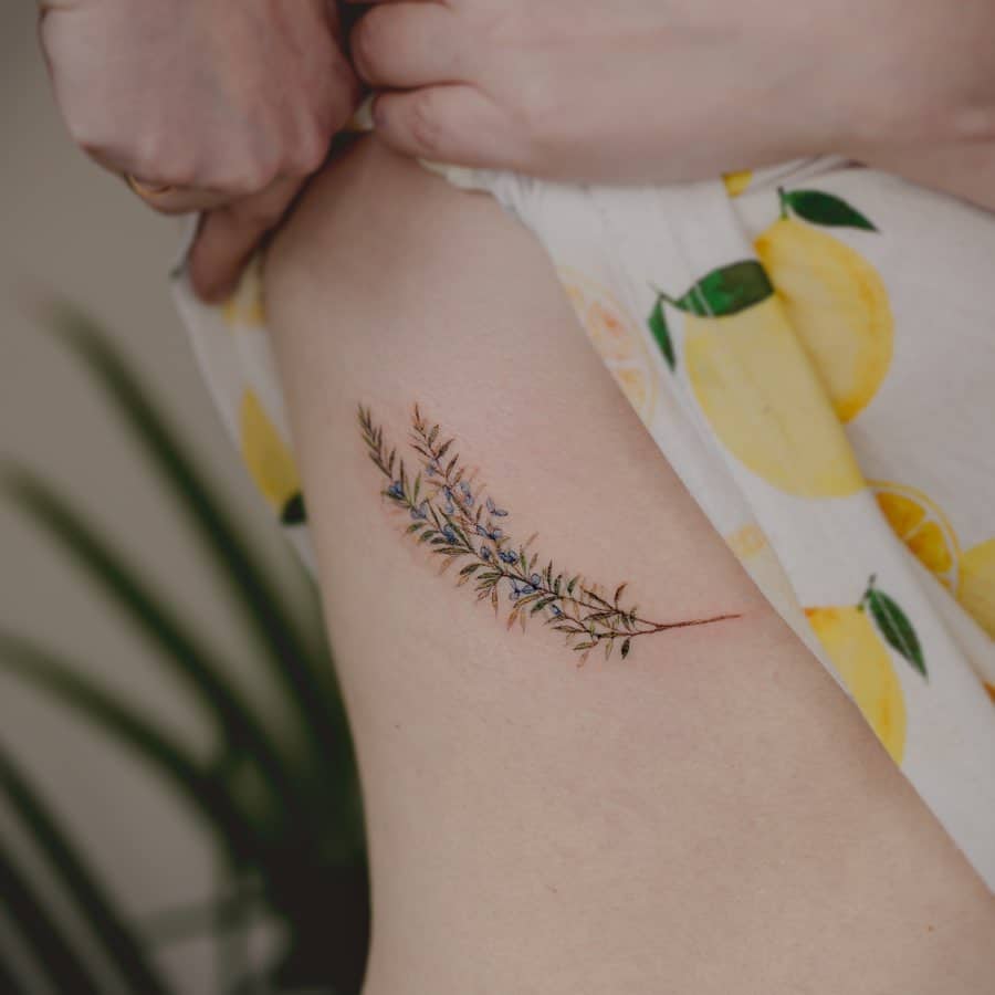 Artistic rosemary rib cage tattoo