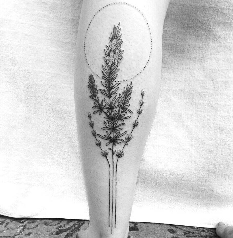 Rosemary and lavender on the calf