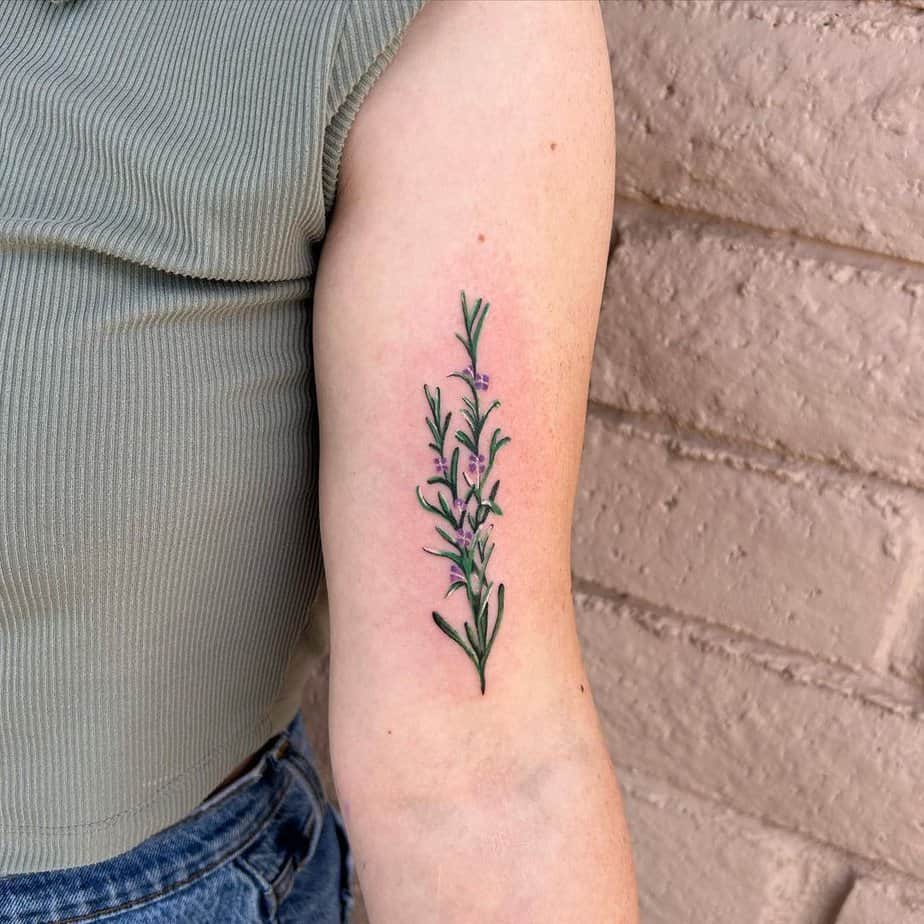 Colorful rosemary tattoo on the inside of the upper arm