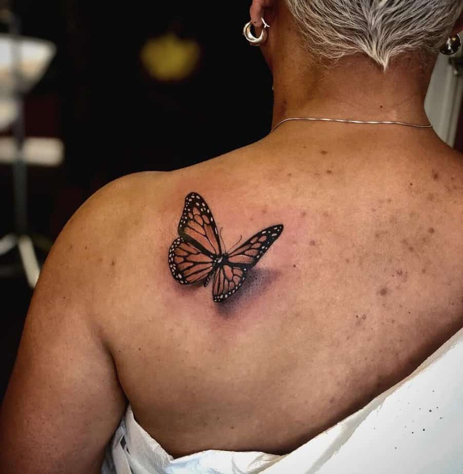 12. Monarch butterfly