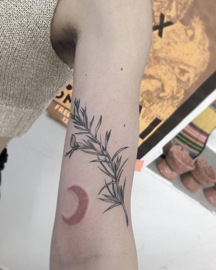 Rosemary and the moon