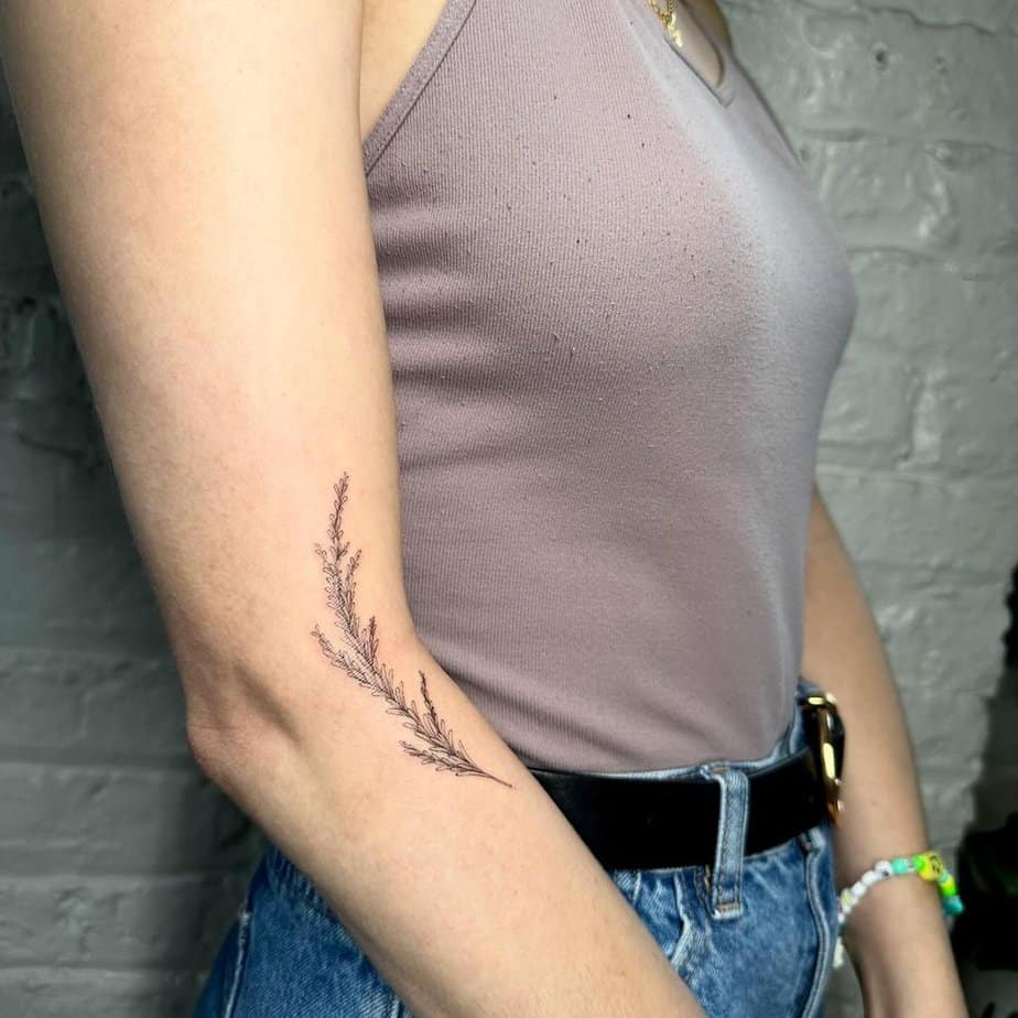 Delicate rosemary sprig