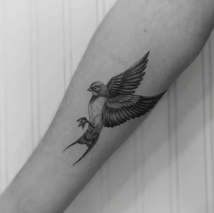 1. Realistic swallow