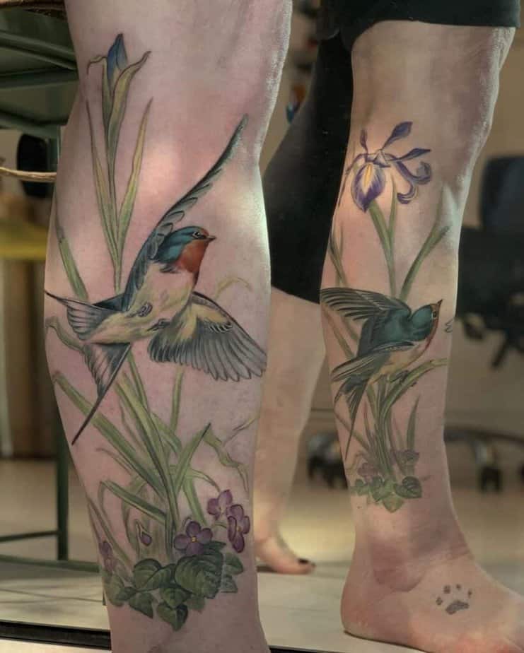 23. Swallows in nature