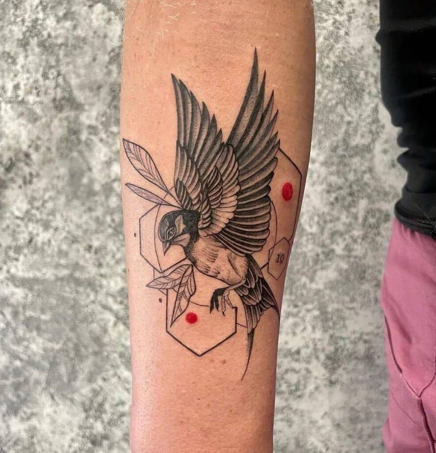 26. Additional shapes