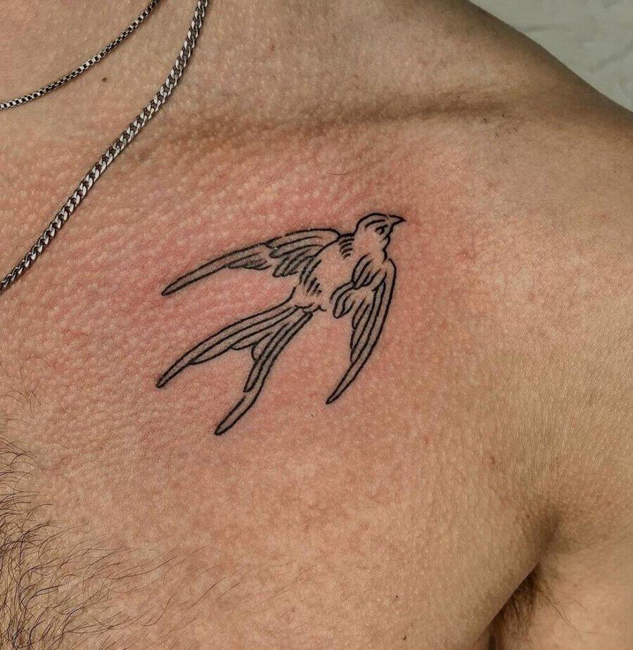 3. Classical swallow