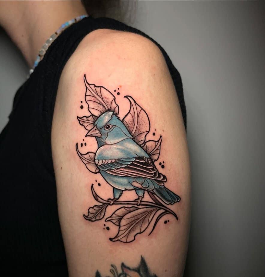 A bold bluebird perched on leaves