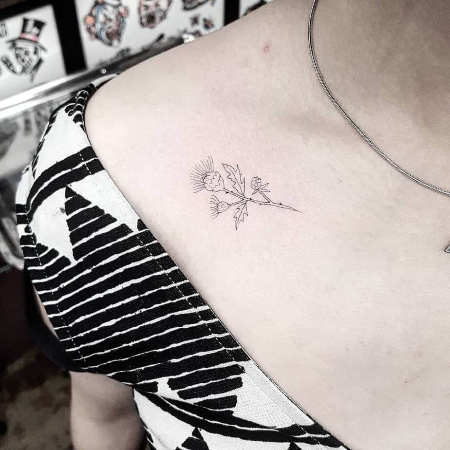 Delicate shoulder thistle