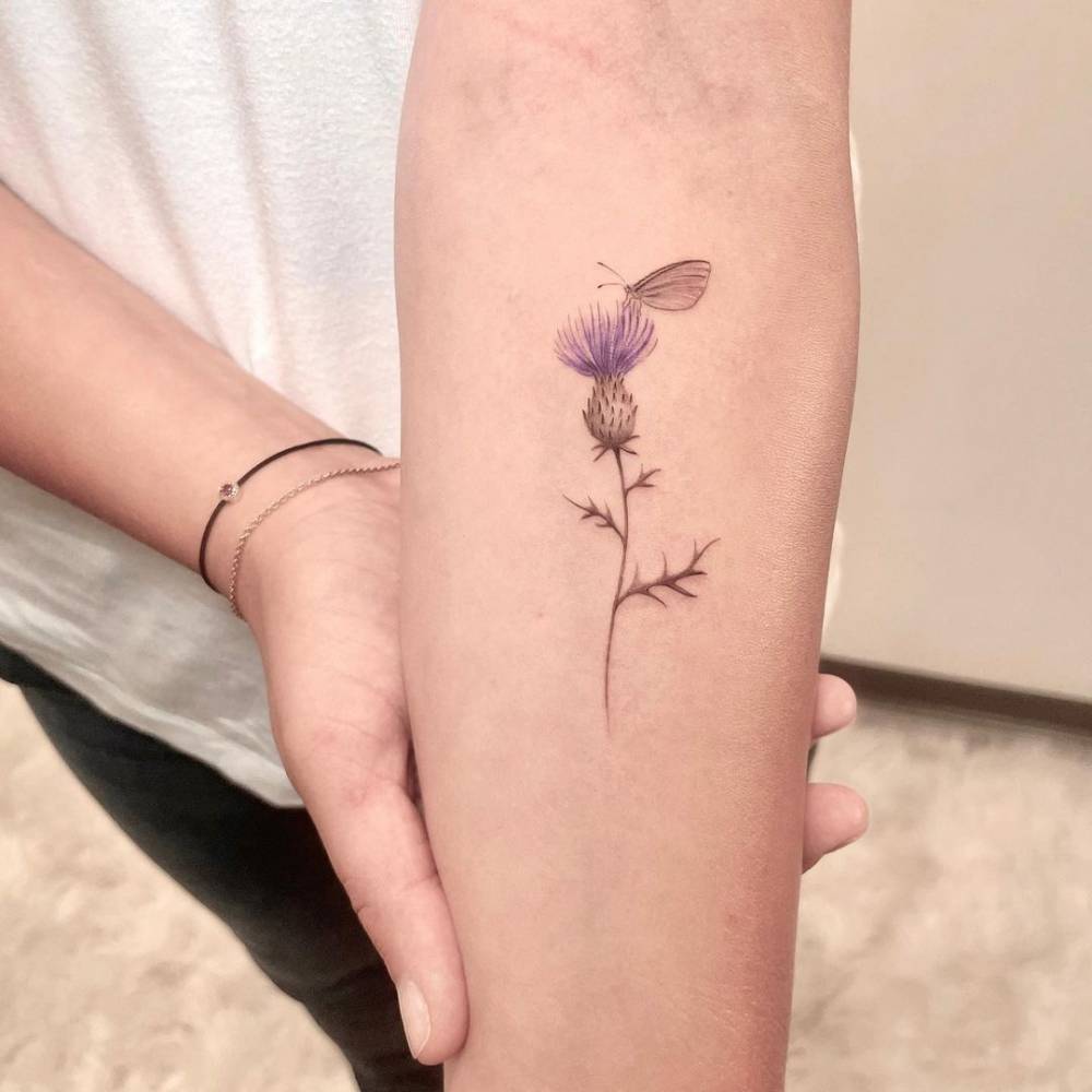 A thistle with a butterfly