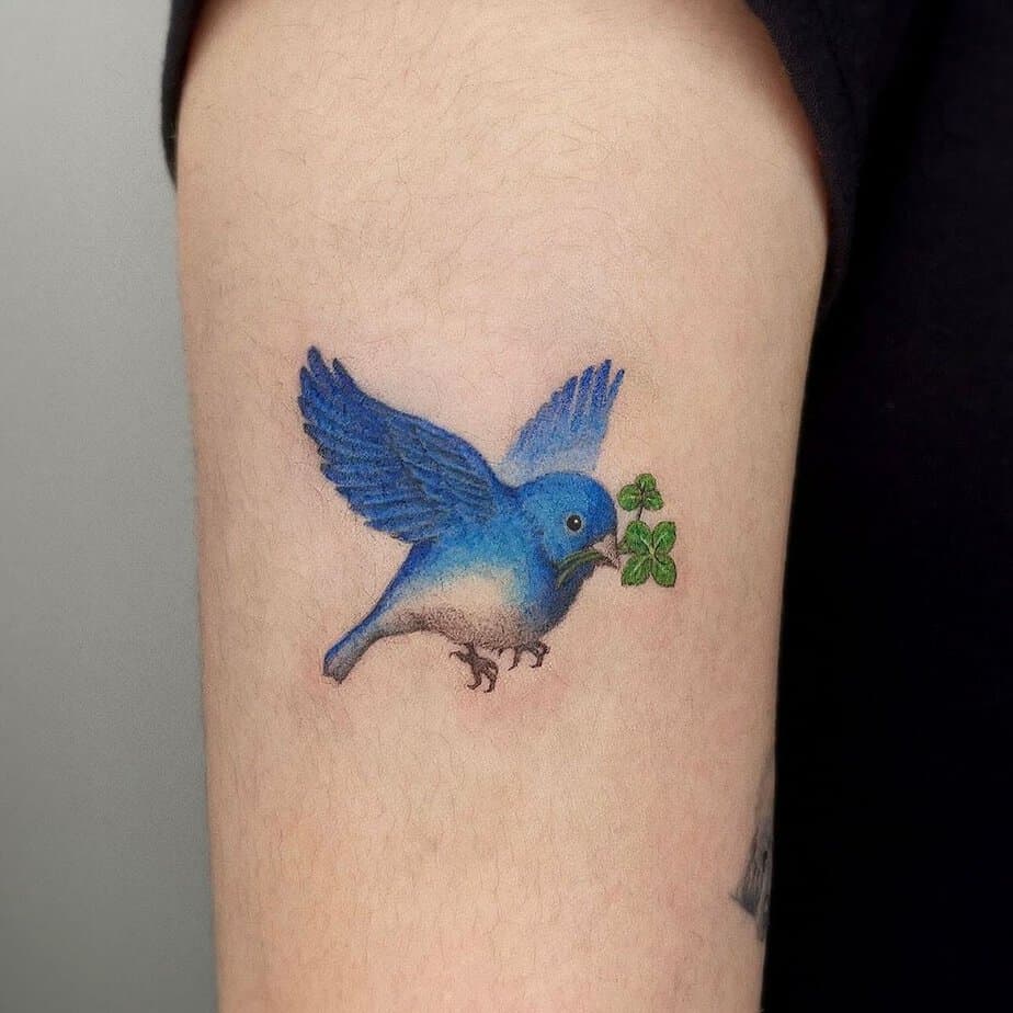 Bluebird with a clover