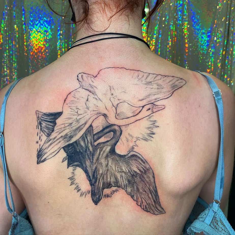 Black and white swan tattoo inspired by story of Odette