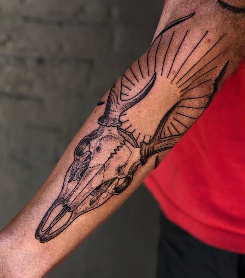 Radiant deer skull on the forearm