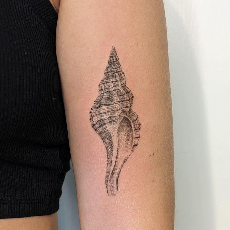 1. A conch shell tattoo on the upper arm