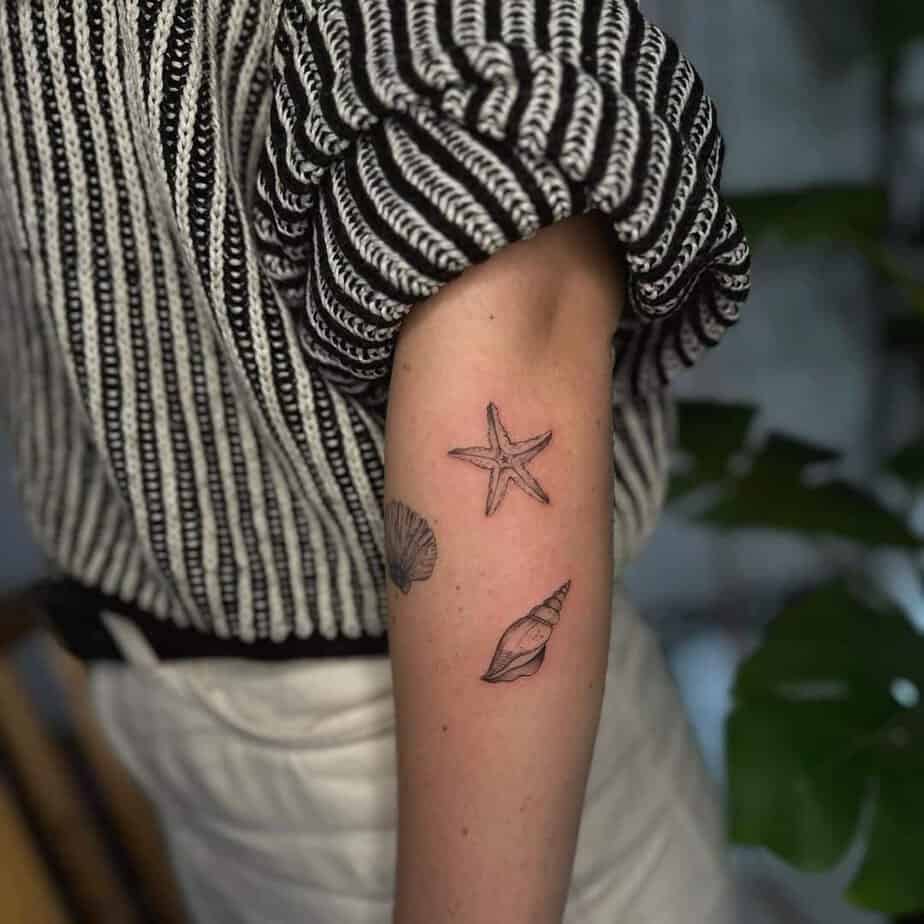 19. A sticker sleeve tattoo with shells and a starfish