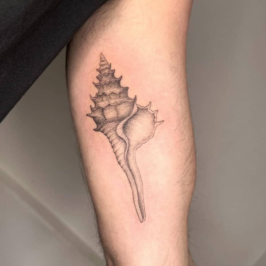 23. A triton shell tattoo on the bicep