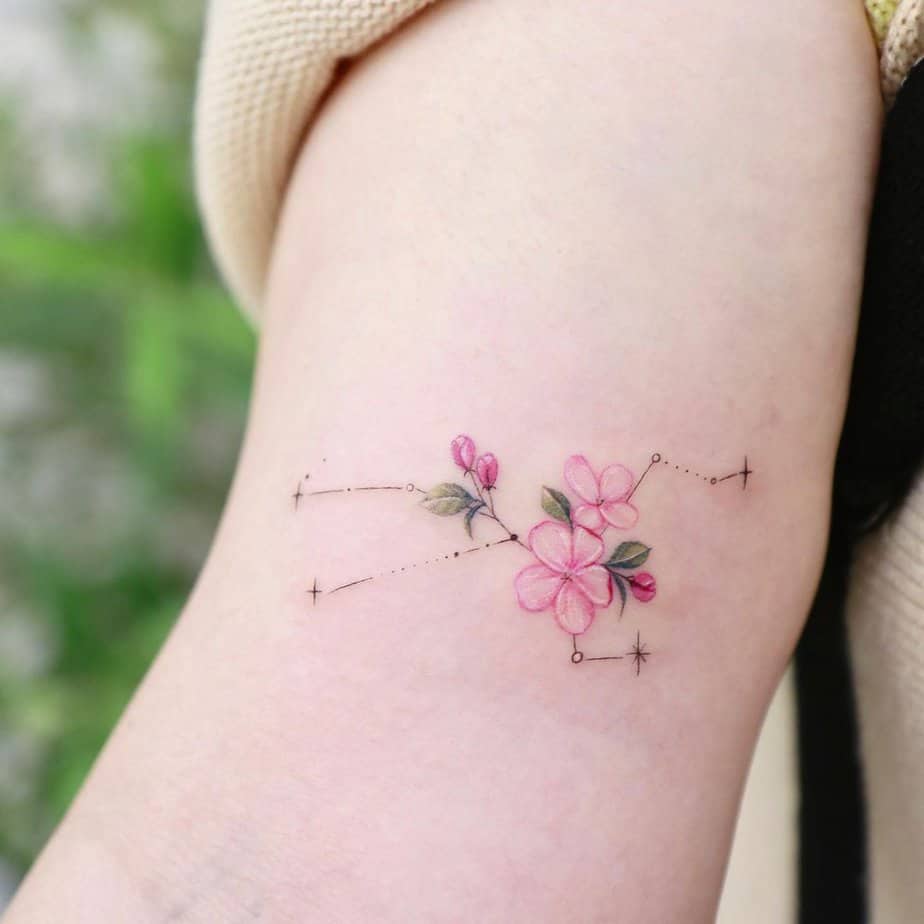 Apple blossoms with a Scorpio constellation