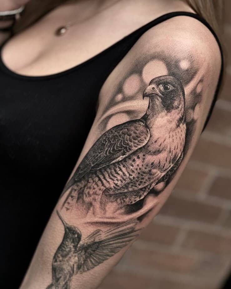 Black and gray falcon