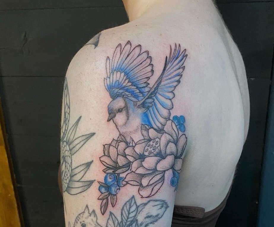 Blue jay and water lotus