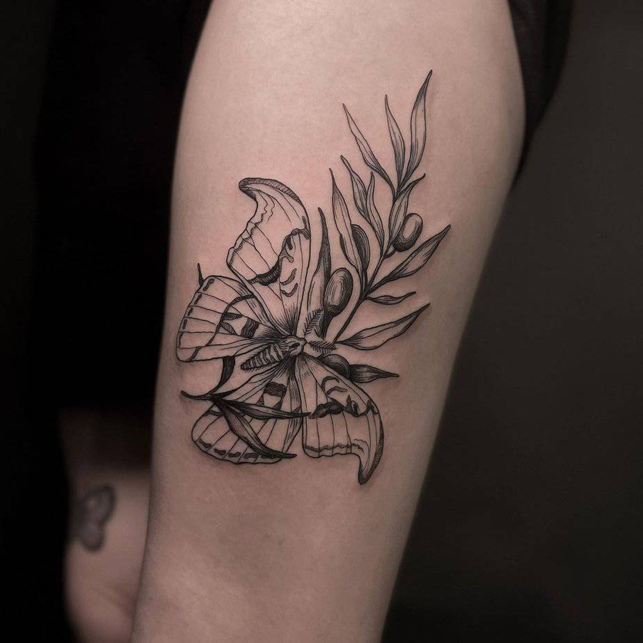 20 Delicate Olive Tree Tattoo Ideas For Peace And Harmony