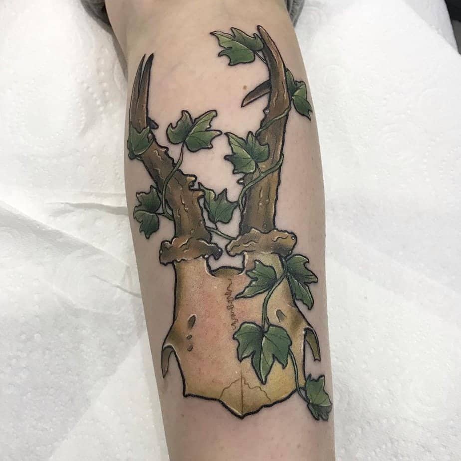 Deer-skull-and-poison-ivy