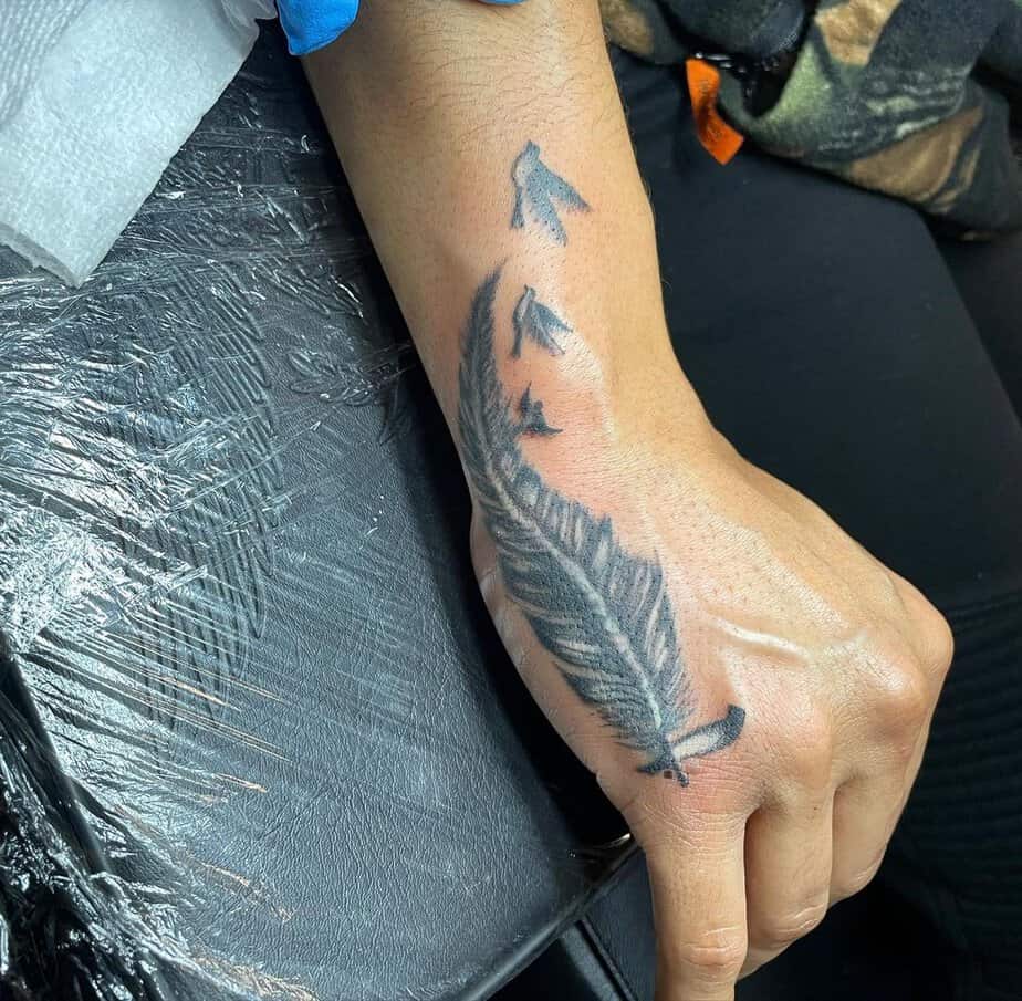 14. Feather and birds