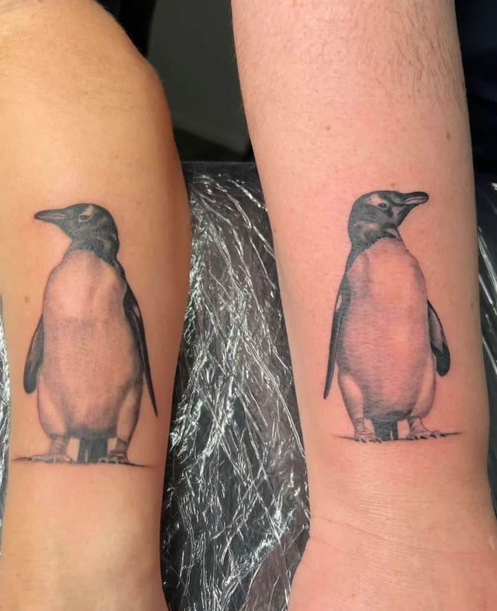 Matching penguin tattoos 1