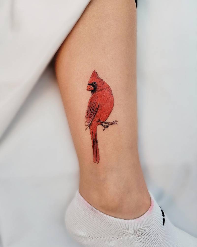 Northern cardinal micro-realistic tattoo