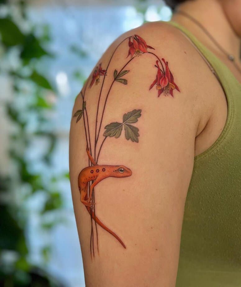 Red-columbine-and-eastern-newt