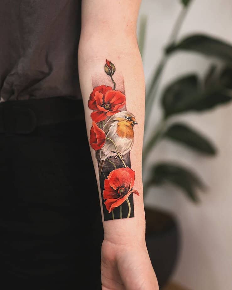 Robin among poppies tattoo