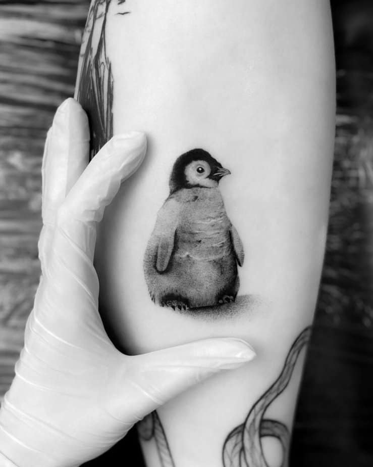 Simple black and gray penguin tattoos 1